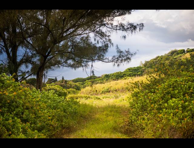 1,115M² VACANT LAND FOR SALE IN ZULULAMI LUXURY COASTAL ESTATE